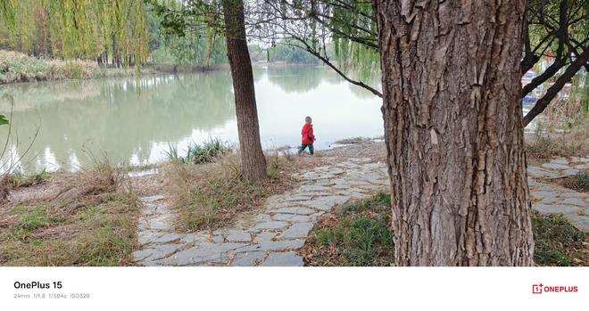 值得推荐？一加这些好物非常适合看一眼pg电子中国网站双十二有哪些生活好物(图6)